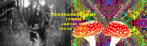 шишки Абдулино