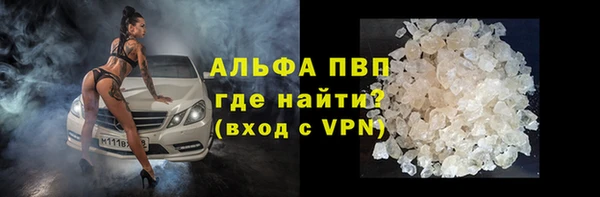 трава Няндома