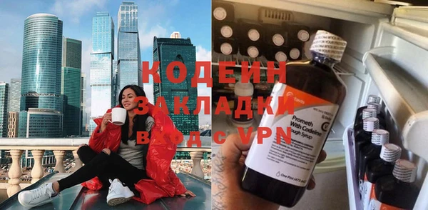 трава Няндома
