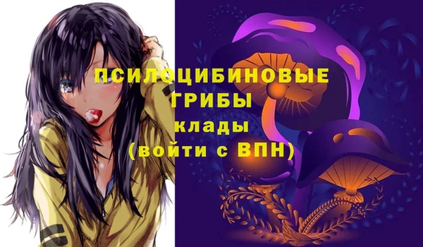 шишки Абдулино